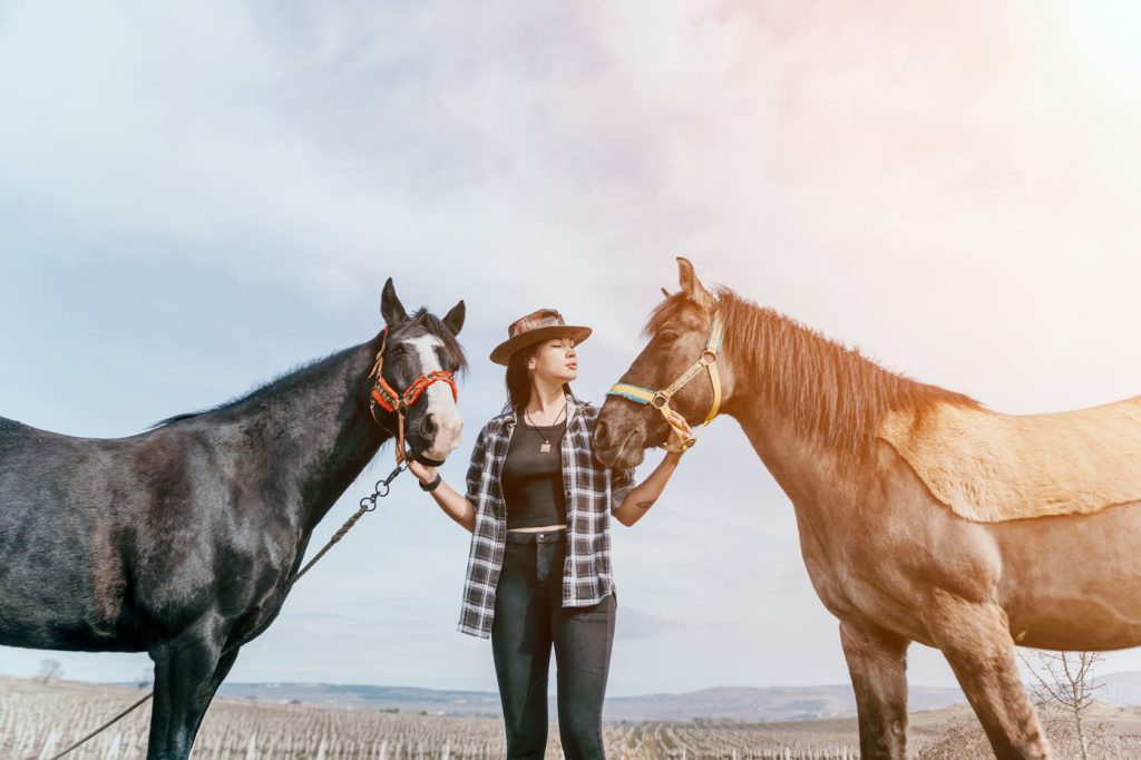equine mortality insurance quote